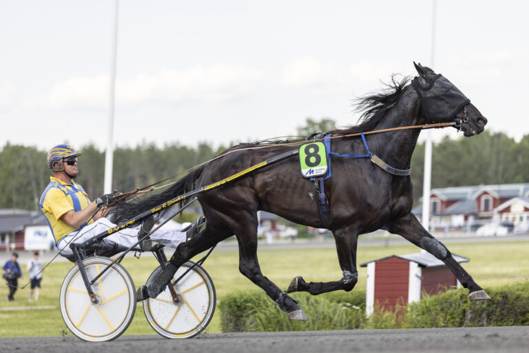 Välgörenhetsauktion till förmån för Peter Eriksson